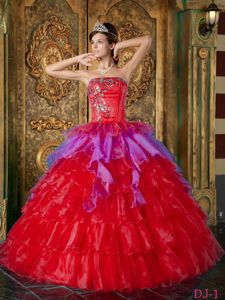 Plus Size Multi-color Puffy Ruffled Appliqued Dress for Quince
