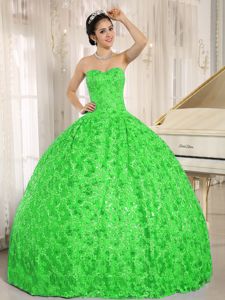 Spring Green Strapless Sequins and Appliques Quinceanera Dresses
