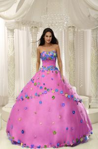 Best Puffy Pink Strapless Dress for Sweet 15 with Flora Appliques