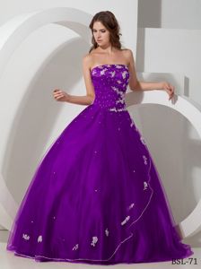 Purple Strapless Appliques Decorate Beading Dress for Quince