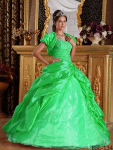 Green Taffeta Appliques Sweet 15 Dresses with Pic Ups