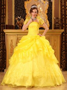 Yellow Floor-length Organza Appliques Dress for Quinceaneras