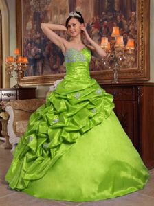 Green Taffeta Pick-ups Quinceanera Dresses with Appliques