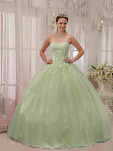 Newest Sweetheart Beading Quinceanera Party Dress with Sequins