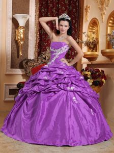 Beautiful Appliques Ruching Sweet Sixteen Dresses with Pick-ups