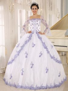 Trendy Strapless Appliques Quinceanera Gowns with Long Sleeves