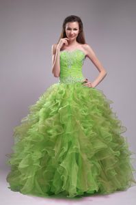 Yellow Green Organza Ruffles Dresses Quinceanera with Appliques