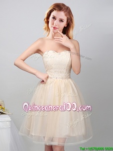 Simple Tulle Sweetheart Sleeveless Lace Up Lace and Appliques Damas Dress inChampagne