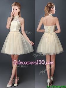 Wonderful Champagne Halter Top Lace Up Lace and Appliques Quinceanera Court Dresses Sleeveless