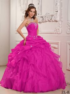 Hot Pink Ball Gown Ruffles and Pick ups Quinceanera Gowns Plus