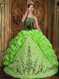 Strapless Spring Green Embroidery Pick-ups Quinceanera Gowns