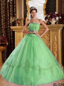 Chik Apple Green Strapless Princess Embroidery Quinceanera Gowns