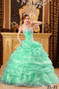 Sweetheart Apple Green Appliques and Pick-ups Dress for Quince