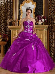 Fuchsia Strapless Organza Sweet 16 Dresses with Appliques