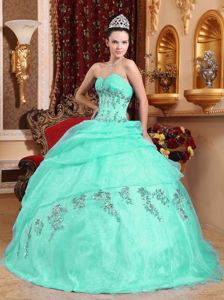 Green Sweetheart Organza Appliques Dress for Quinceaneras
