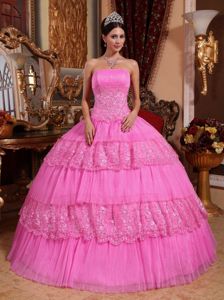 Pink Organza and Lace Appliques Dress for Quinceaneras