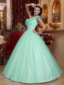 Princess One Shoulder Tulle Sweet Sixteen Dress with Sash