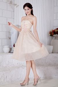 Champagne Pricess Strapless Short Dresses For Damas with Appliques