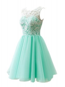 Custom Design Apple Green A-line Tulle Scoop Sleeveless Lace Knee Length Clasp Handle Mother of the Bride Dress