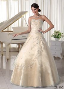 Princess Organza Appliques Quinceanera Dresses with Beading