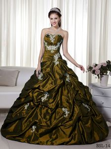 Luxurious Appliques Taffeta Quinceanera Party Dress with Pick-ups