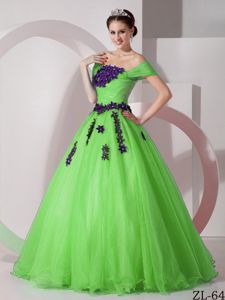 Floral Embellishment Organza Sweet Sixteen Dress in Spring Green