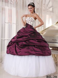 Taffeta and Tulle Pick-ups Sweet 15 Dresses with Embroidery 2014