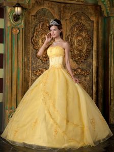 Yellow Organza Appliques Quinceanera Party Dress on Promotion