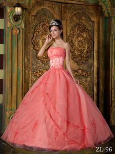 Vintage-inspired Ball Gown Appliques Sweet 15 Dress in Organza