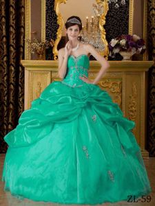 Recommended Sweetheart Applique Quinceanera Dress in Organza