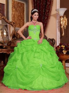 Spring Green Sweetheart Appliques and Pick-ups Dresses for 15