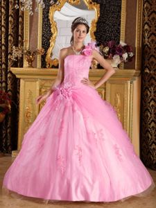Lovely Pink One Shoulder Quinceanera Gown Dress with Appliques