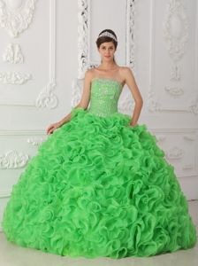 Gorgeous Sequins Green Dresses Quinceanera with Rolling Flowers