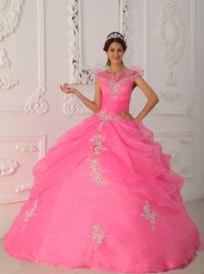Fabulous Sleeveless Appliques Dress for a Quinceanera in Organza