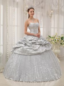 2014 Appliques Silver Dresses Quinceanera with Pick-ups and Pleats