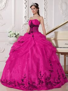 Organza Fuchsia Strapless Quinceanera Dresses with Embroidery