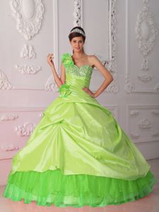 Lovely Spring Green Quinceanera Dresses with Hand Made Flowers