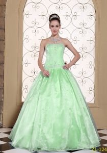 Ball Gown Strapless Apple Green Appliqued Quinceanera Dresses