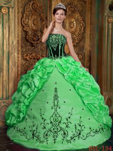 Green and Black Dress for Quince with Pick-ups and Embroidery