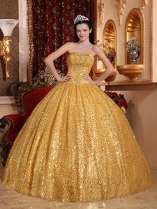 Shimmery Exquisite Ball Gown Sequins Gold Quinceanera Dress