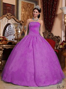 Pretty Ball Gown Appliqued Fuchsia Quinceanera Gown Dresses