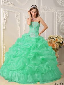 Sweet Beaded Appliques Pick-ups Quinces Dresses in Apple Green