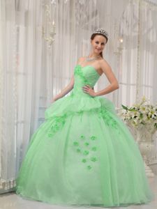 Sweet Apple Green Organza Quince Dress with Floral Embellishment