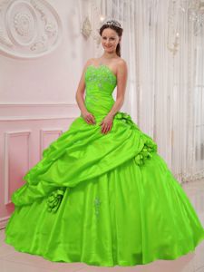 Hand Made Flowers Beading Quinceanera Gowns in Spring Green
