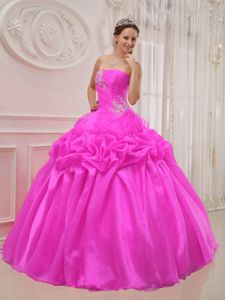 Pink Ball Gown Quinceanera Dresses with Appliques and Ruffles