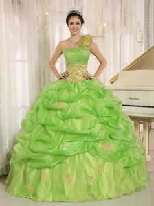 Spring Green One Shoulder Quinceanera Dresses with Pick-ups