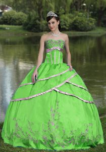 Cheap Spring Green Dress for Sweet 16 with Embroidery Online