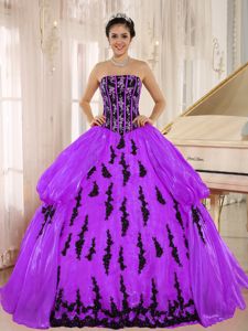 Strapless Appliqued Purple and Black Quinces Dresses for Rent