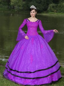 Long Sleeves Appliqued Purple Dresses for Sweet 15 for Rent