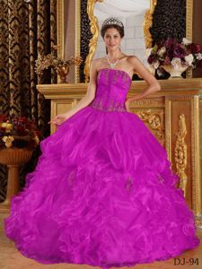Perfect Strapless Appliqued Fuchsia Quinceaneras Dress for Rent